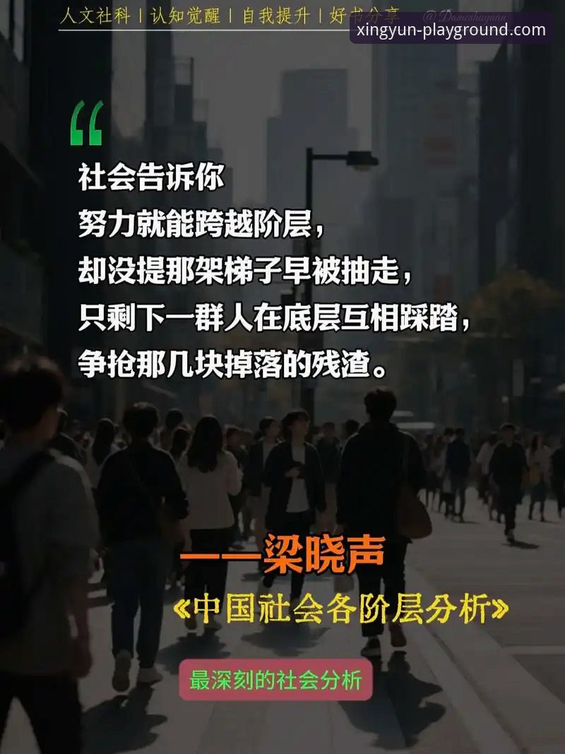 深度揭秘：杏运体育官方域名官方下载背后的技术架构与用户体验革新